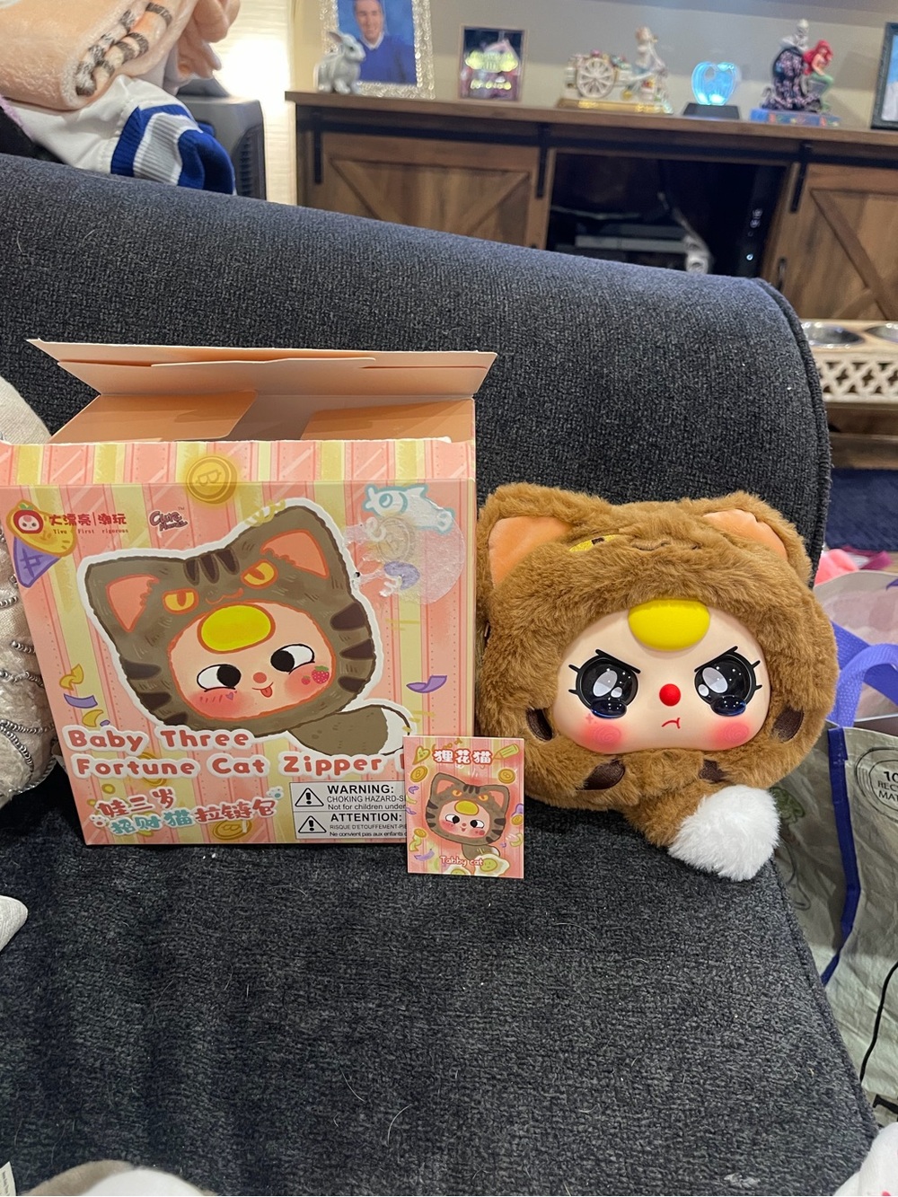 Baby Three Fortune Cat Zipper Tabby cat